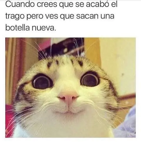 risa