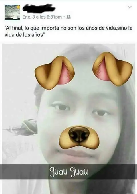 imagenes chistosas