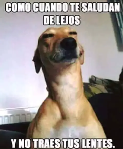 Megapost de humor negro y mas...