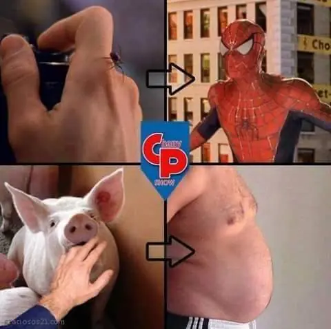 humor chileno