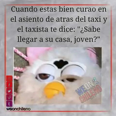 memes