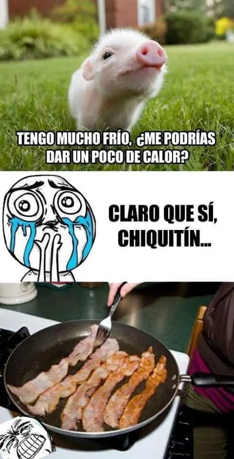 imagenes