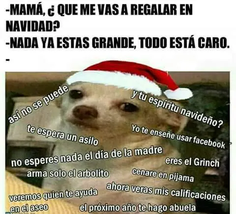 risa