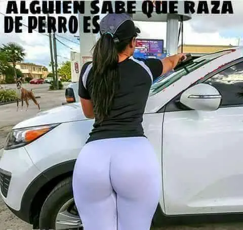 imagenes chistosas