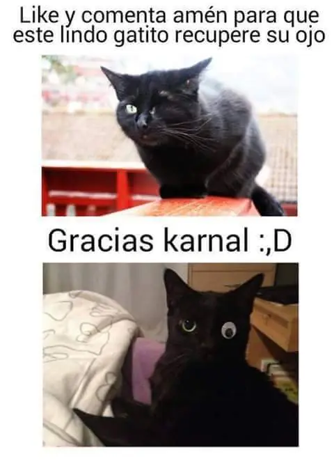 imagenes