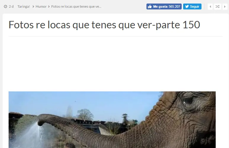 volver al futuro