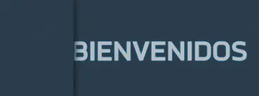 Siempre que bucea, este tiburón quiere estar junto a él
