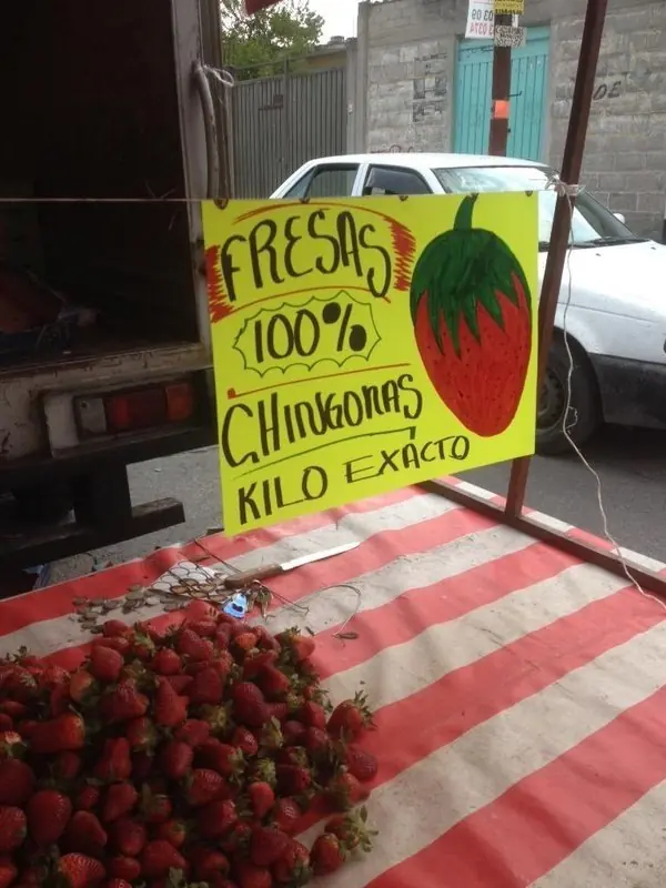 graciosos
