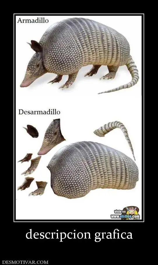 imagenes