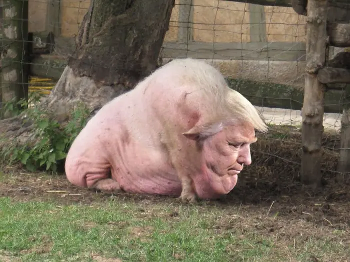 Trump. Por esto amo el photoshop! pasa maquinola! Trump. Por esto amo el photoshop! pasa maquinola!