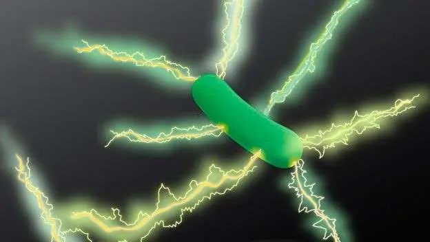 descubrimiento cientifico