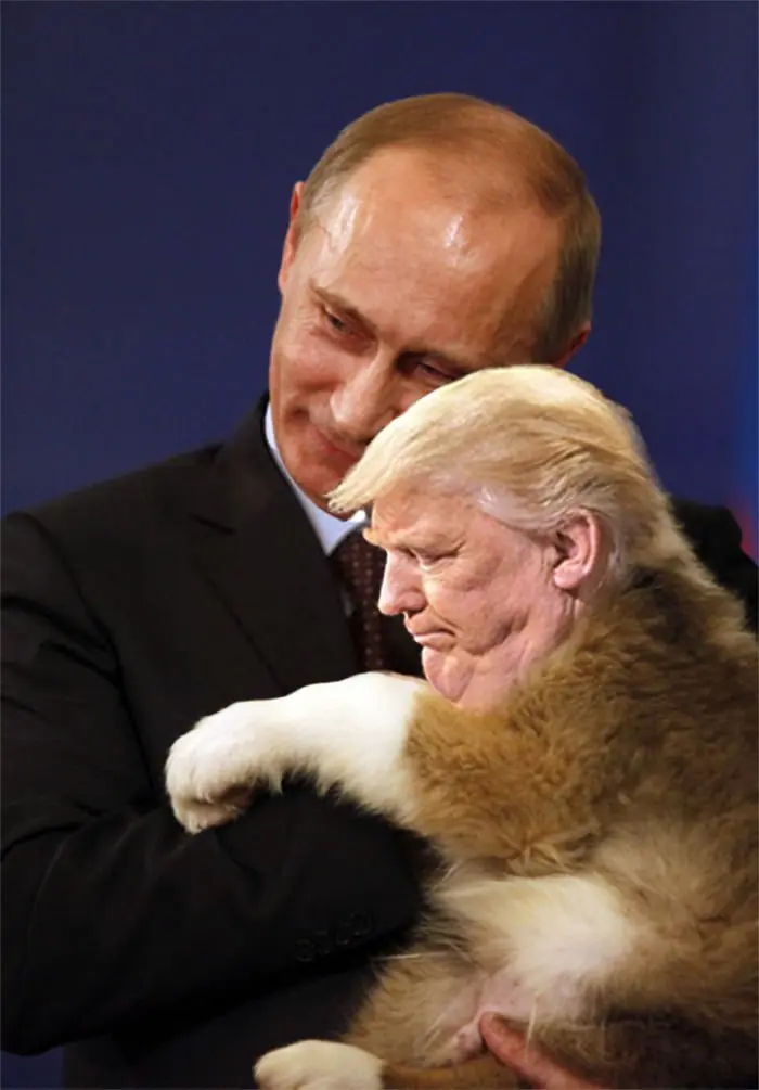 trump photoshop trump photoshop