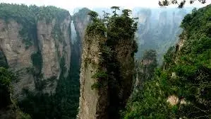 El Bosque de Piedra