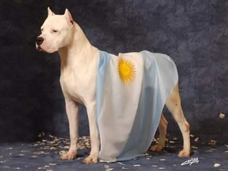 treinta y nueve