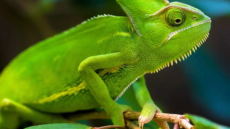 estudiar medicina,ser cientifico o que?