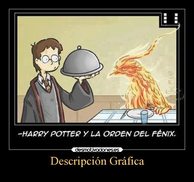 descripcion grafica