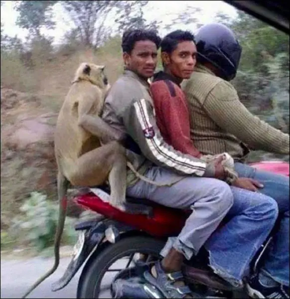 humor mananero
