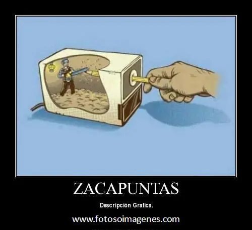 descripcion grafica