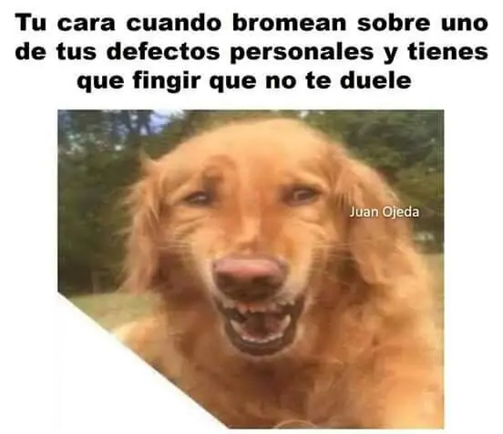 Imagenes