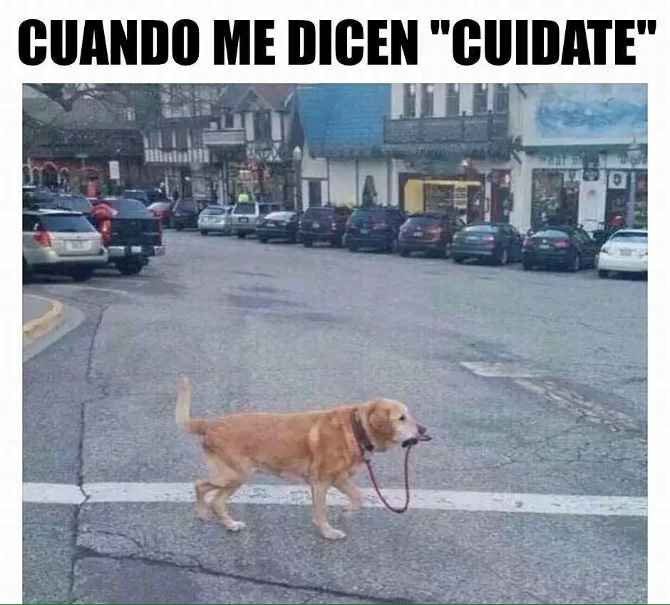 Comentarios