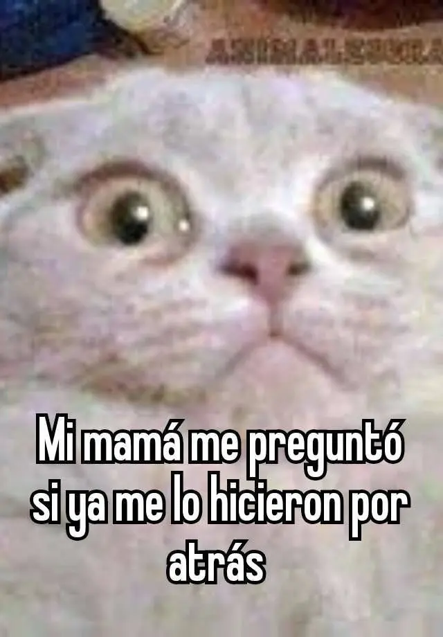 padres hijos