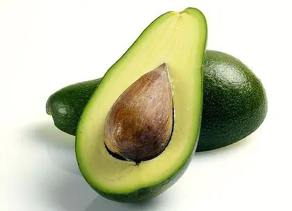 Aguacate: el oro verde mexicano. Conocelo