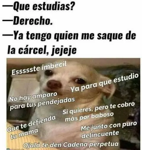 Comentarios