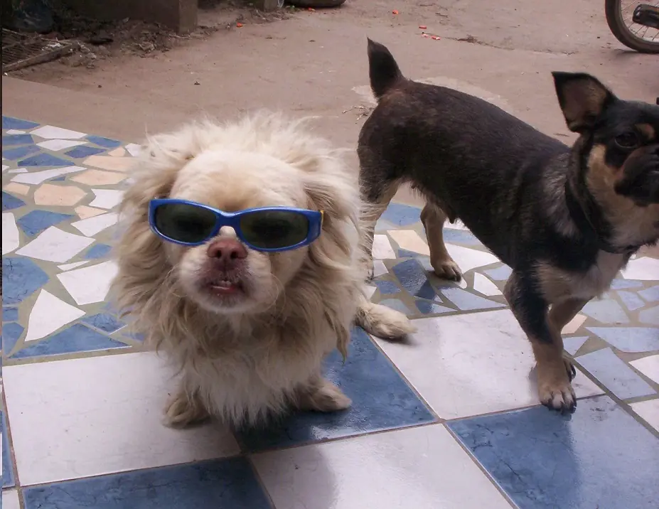 loro