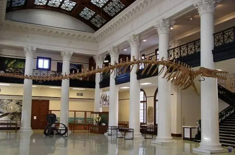 7 criaturas prehistóricas, te haran ensuciar tus pantalones