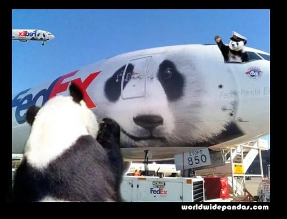 no querras saber sobre china