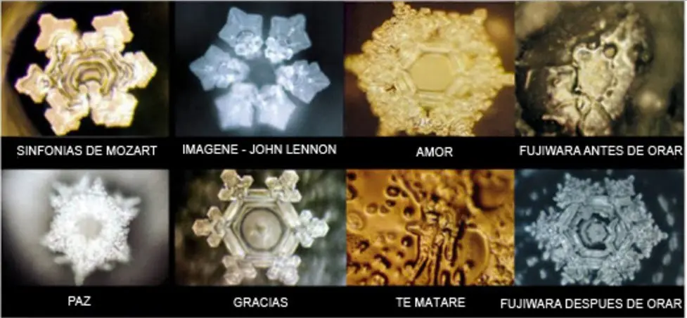 frecuencia