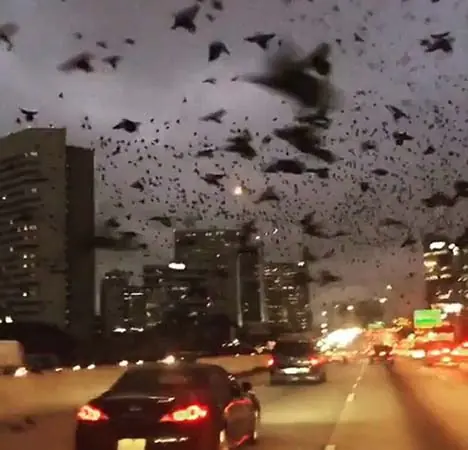 houston