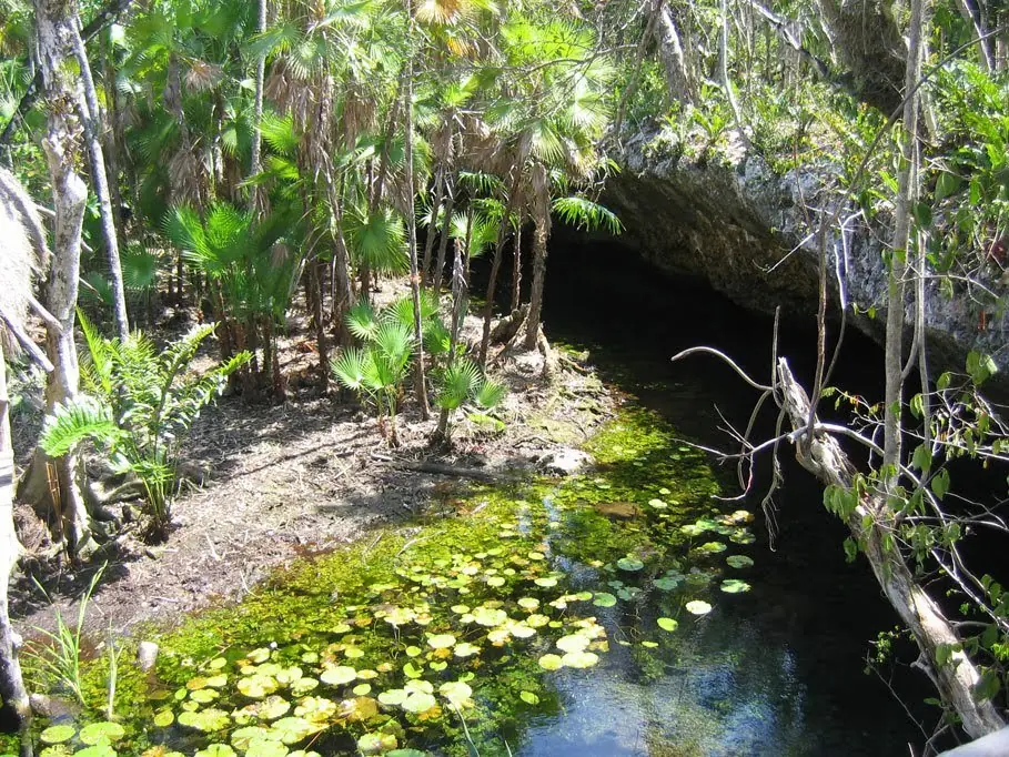 Nicte Ha,leyendas del estado de Yucatan,Mexico