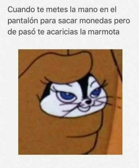 Mi colección de memes