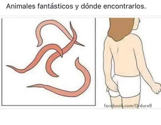 Mi colección de memes