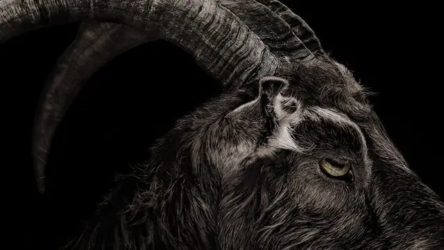 Ruina (Formosa, Arg - Historia de terror real)