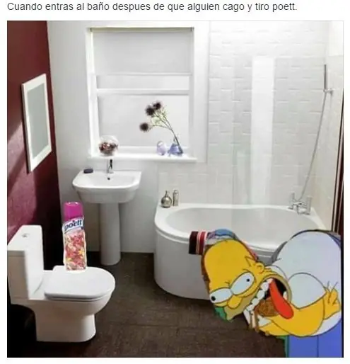 memes
