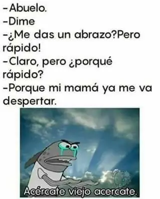 memes taringueros