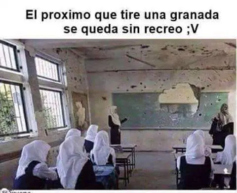 memes taringueros
