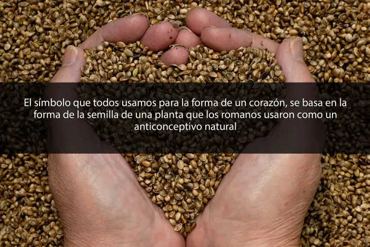 eeuu