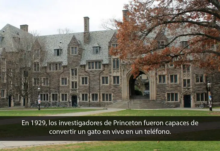 historia