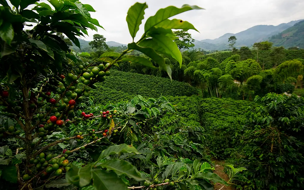 colombia