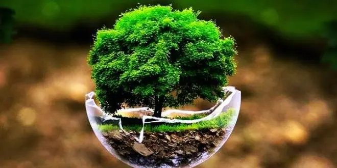 Consejos para ingresar a medicina veterinaria