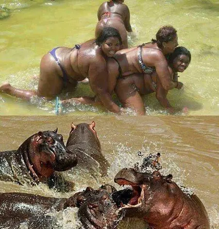 imagenes chistosas