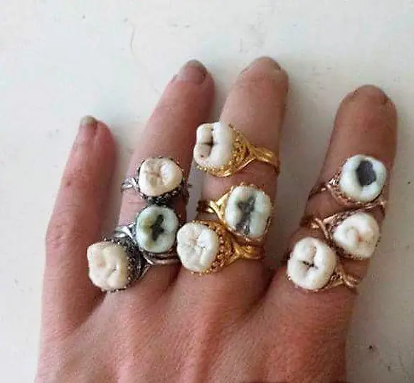 Distráete con estas imágenes WTF y curiosas.