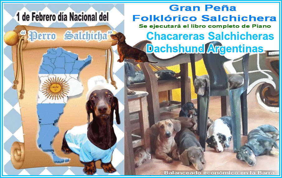 Perros Salchichas