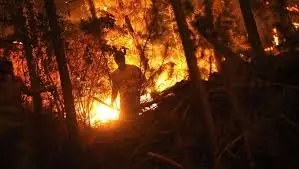 Por que se incendio Chile...