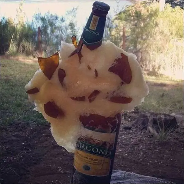 Distráete con estas imágenes WTF y curiosas.