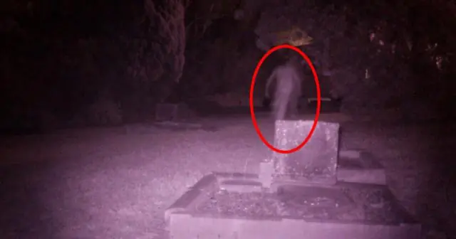 Te enseño a fotografiar fantasmas Papu