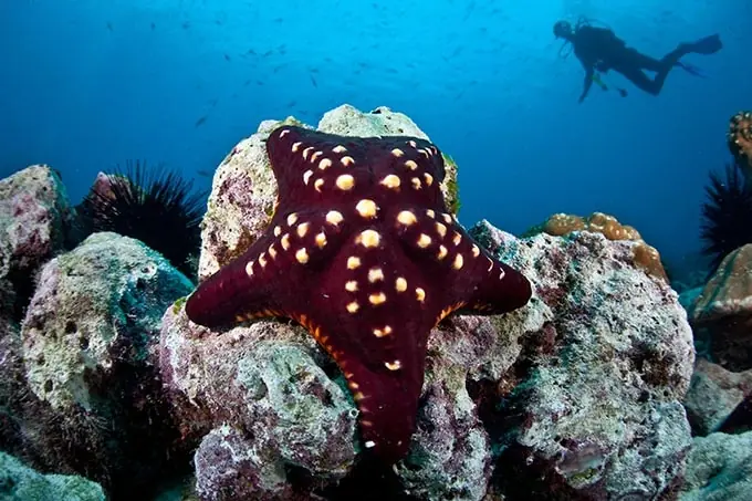 Los 10 lugares más espectaculares de Costa Rica